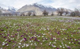 Rekorların ilkbaharı… İlk 46 günün 33’ünde sıcaklık zirvede